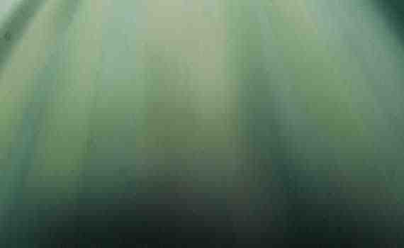 Different Shades Of Green Color