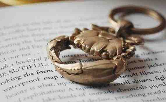 Golden Crab Shape Key Ring on a Book